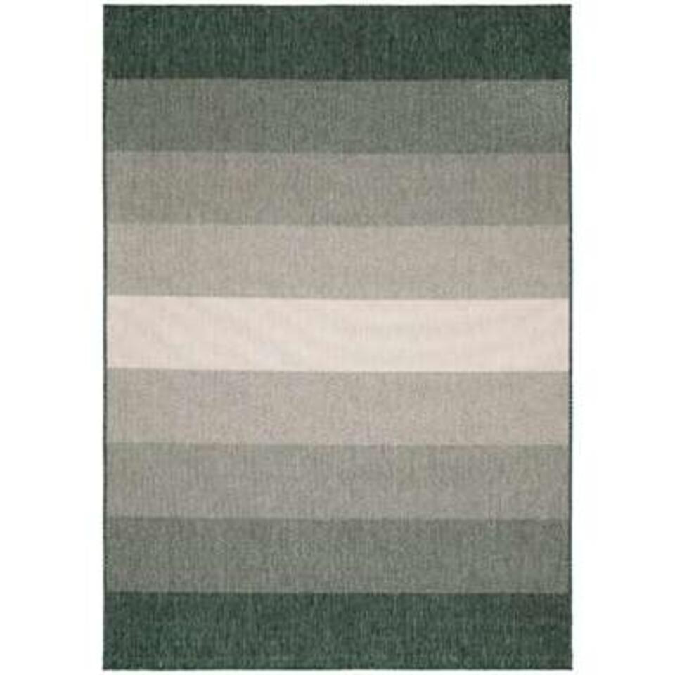 Eva Interior Buitenkleed Groen Boa 240 X 340 Cm