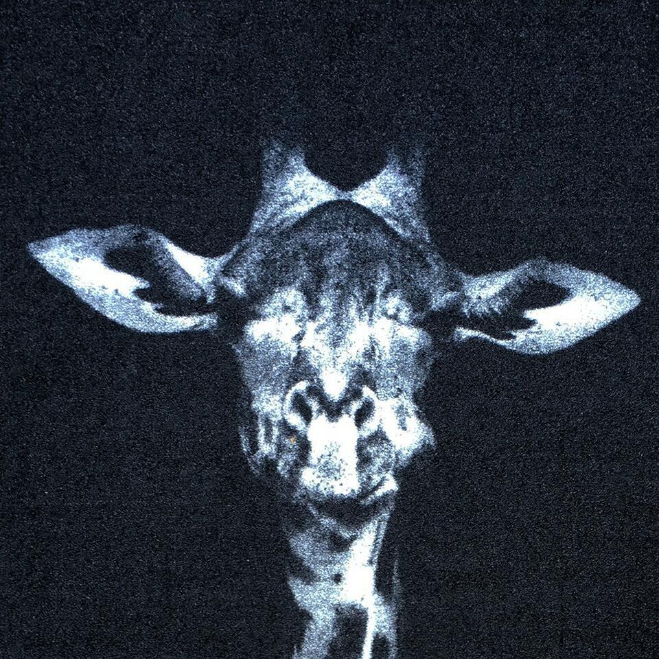  Deurmat Wild Life Giraffe - 66x120 Cm