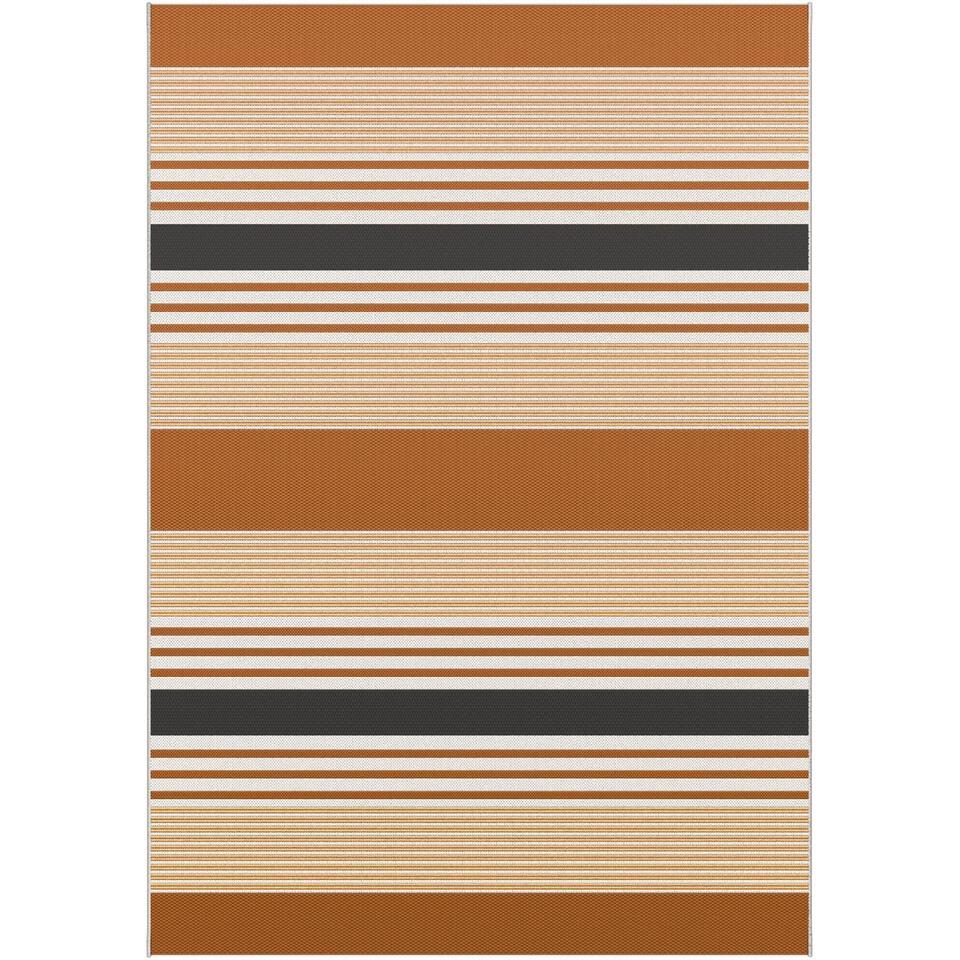  Interieur05 Buitenkleed Nariox Donkerbruin/lichtbruin/zwart - 200 X 290 Cm