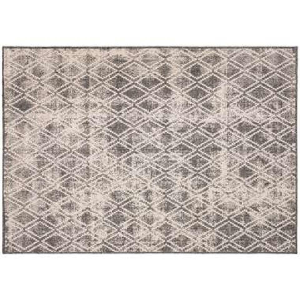  Eva Interior Buiten Vloerkleed - Frost - Grijs/Wit- 160x230 Cm