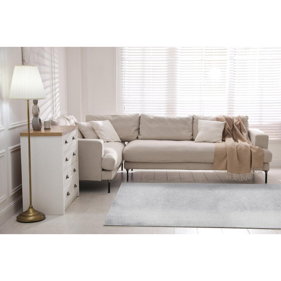  Dutch Lifestyle - Polypropyleen - Vloerkleed - 230x160cm - Grijs