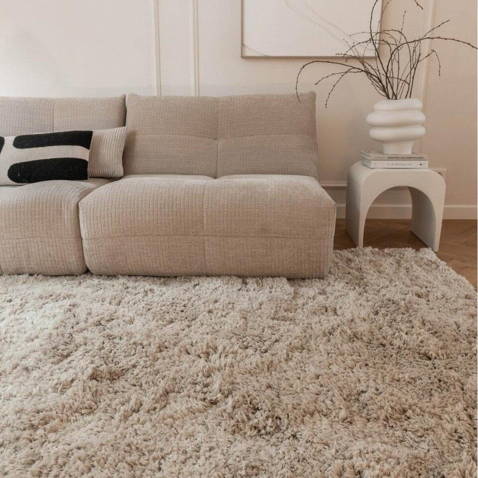  Interieur05 Hoogpolig Vloerkleed Polyester Pilo Beige - 290 X 200 Cm